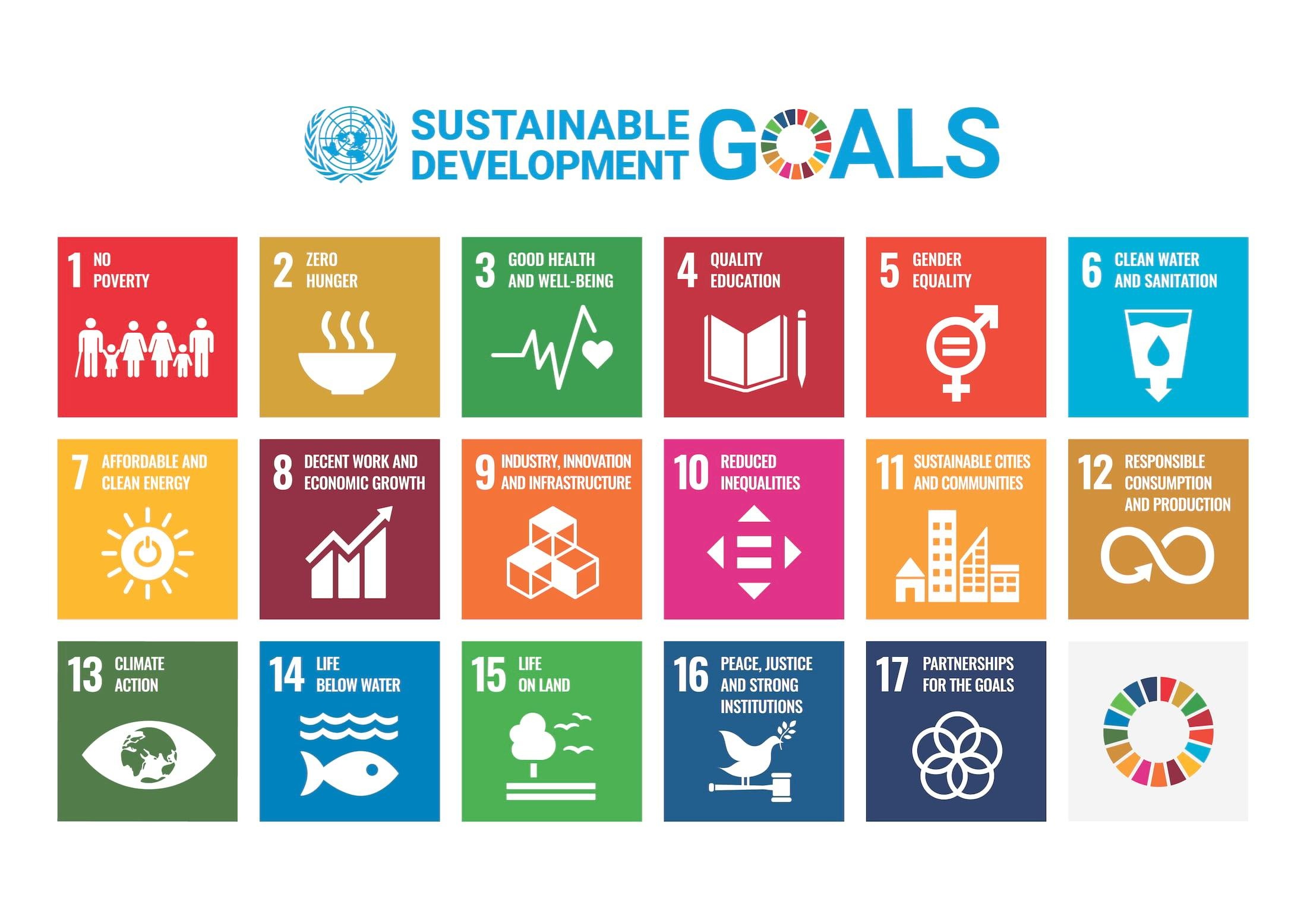 De 17 Sustainable Development Goals (SDG's)